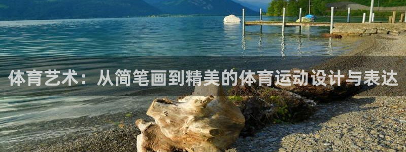 体育艺术：从简笔画到精美的体育运动设计与表达
