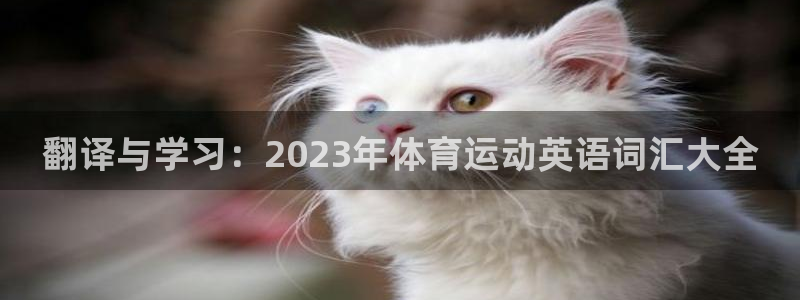 翻译与学习：2023年体育运动英语词汇大全