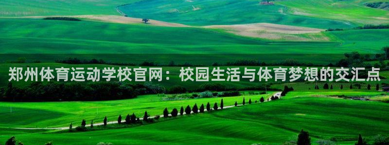 郑州体育运动学校官网：校园生活与体育梦想的交汇点