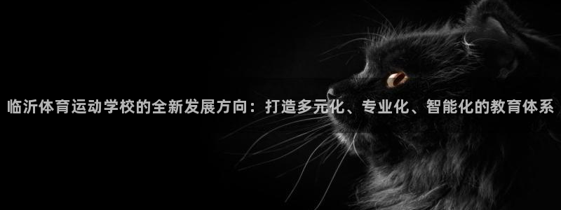 临沂体育运动学校的全新发展方向：打造多元化、专业化、智能化的教育体系