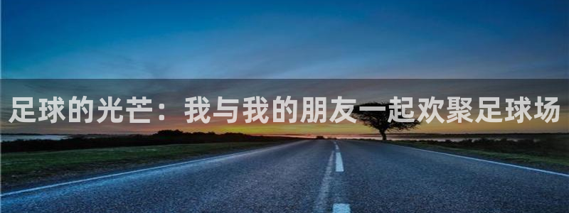 足球的光芒：我与我的朋友一起欢聚足球场