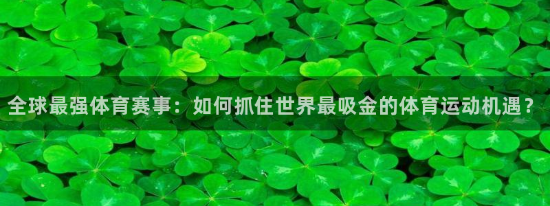 全球最强体育赛事：如何抓住世界最吸金的体育运动机遇？
