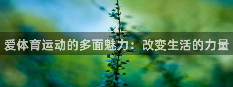 爱体育运动的多面魅力：改变生活的力量