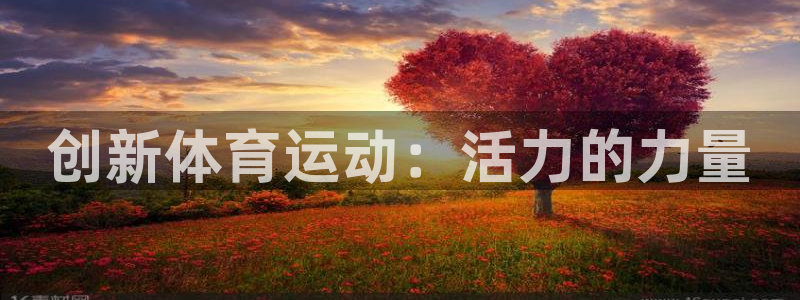 创新体育运动：活力的力量