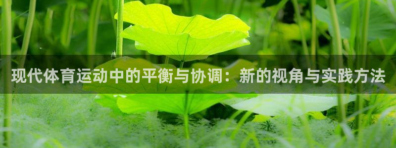 现代体育运动中的平衡与协调：新的视角与实践方法