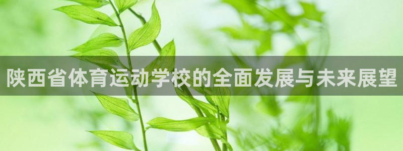 陕西省体育运动学校的全面发展与未来展望