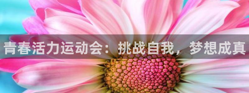 青春活力运动会：挑战自我，梦想成真